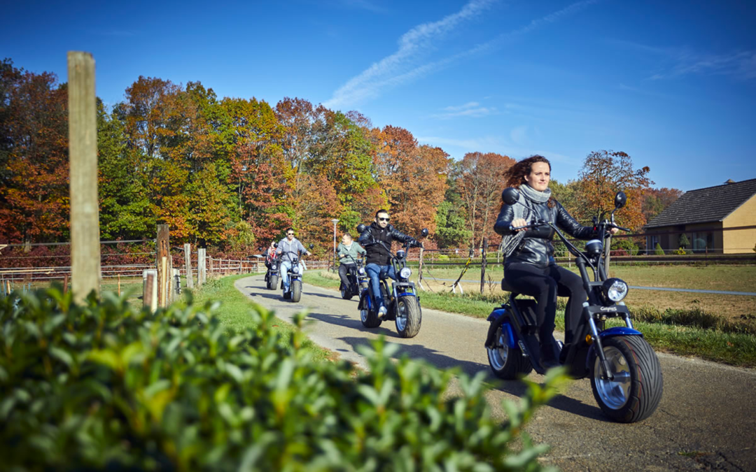 E-chopper: stoer en geluidloos touren