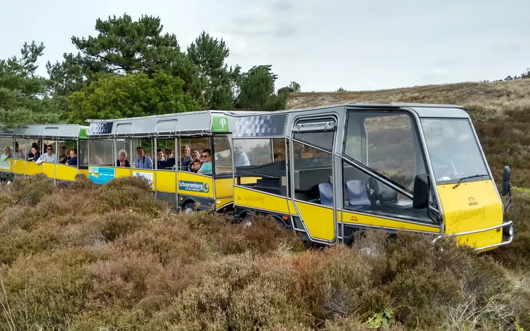 Met de zonnetrein door de Schoorlse duinen