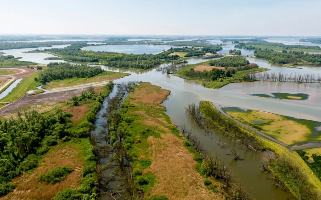 Varen door de Biesbosch en bezoek aan het museum